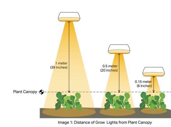 Diagrama de distancia de la luz de crecimiento