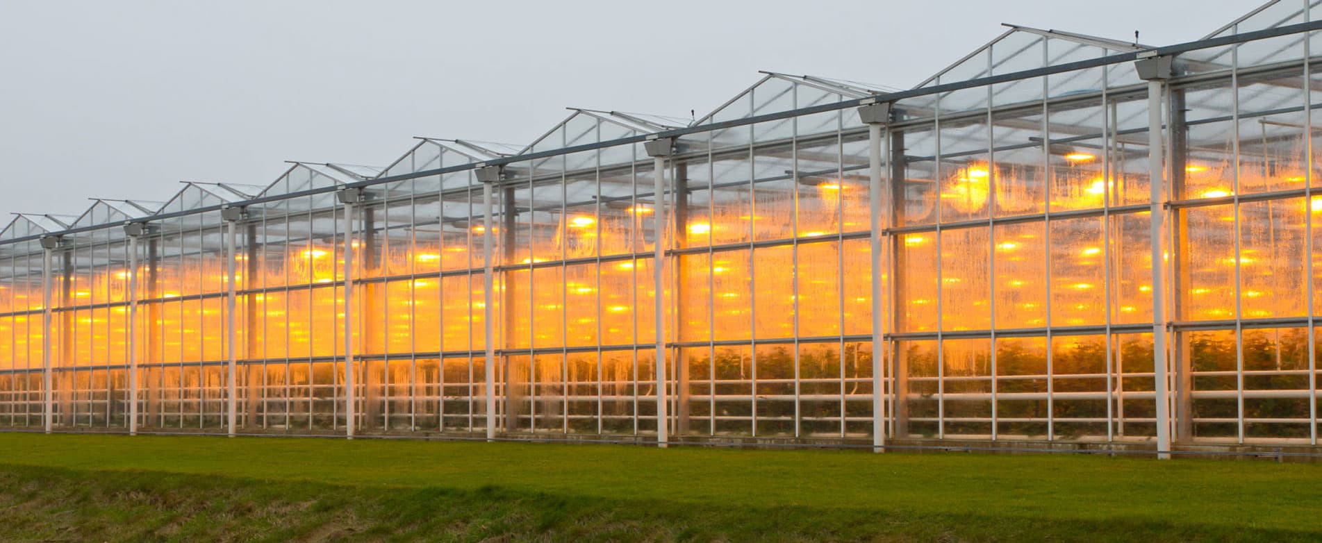 Lámpara LED para la agricultura vertical